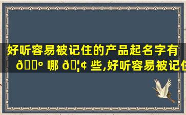 好听容易被记住的产品起名字有 🌺 哪 🦢 些,好听容易被记住的产品起名字有哪些字